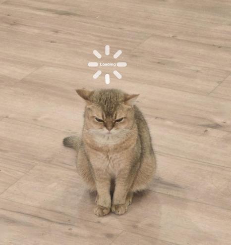 Photo of a slightly anger looking kitty sitting on the floor while a "Loading" indicator floats above its head.