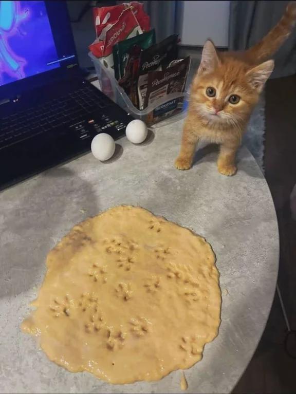 Photo of a large glob of plain cookie dough with cat paws prints in it while the nearby kitten help looks on with pride. The dough, just plopped straight on the counter without anything underneath it, rest close to a laptop with two uncracked eggs leaning on it. Health inspectors be damned, this kitty knows how to bake!