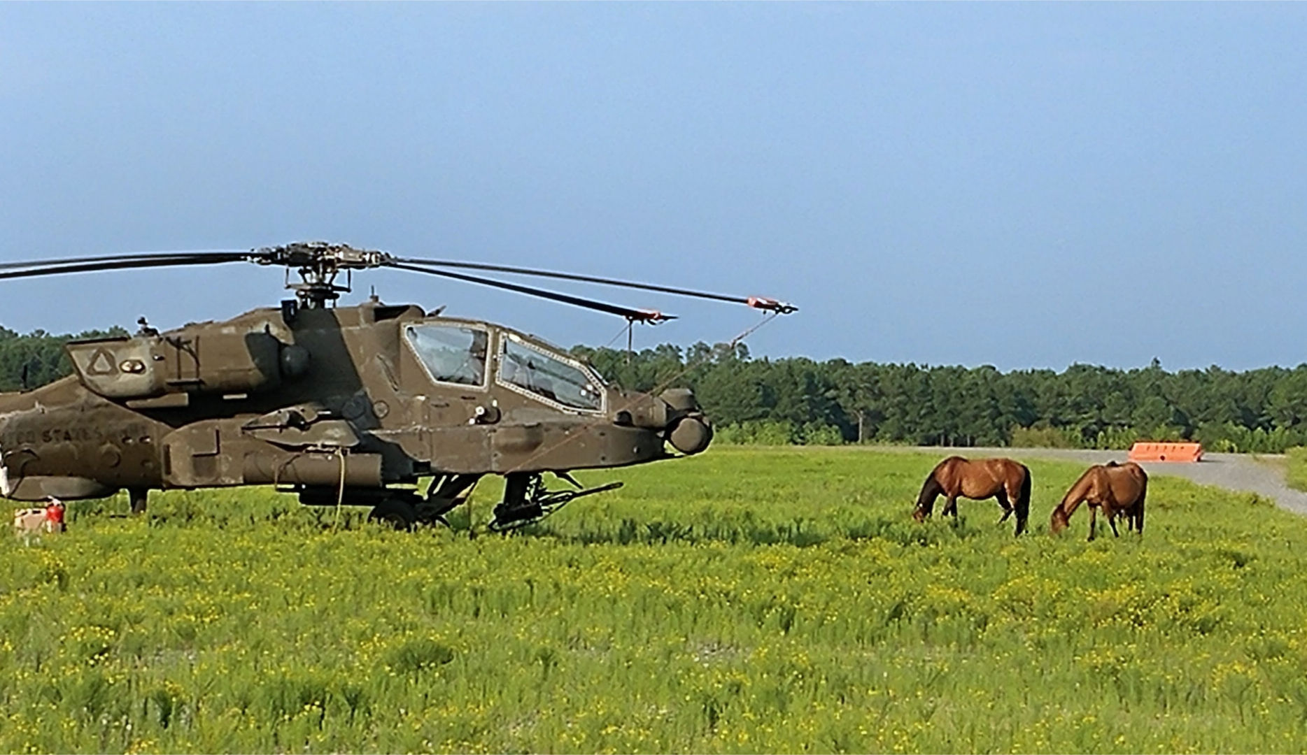 An open field where two horses and an Apache helicopter can be seen grazing.