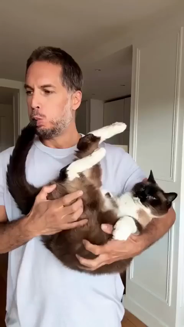 Video someone holding their cat on their back while also holding the tip of the kitty's tail in their mouth. The cat, who is probably purring, is then playing like bagpipes which makes the kitty start to close it's eyes like its a sleepy floof.
