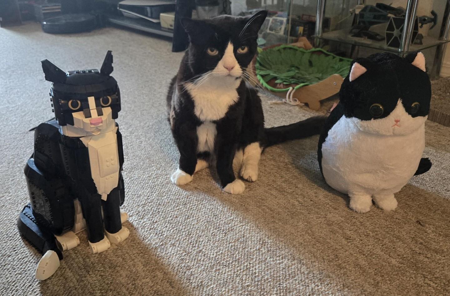 Photo of an unimpressed tuxedo cat sitting in between a similar looking lego cat and a stuff cat plushie.