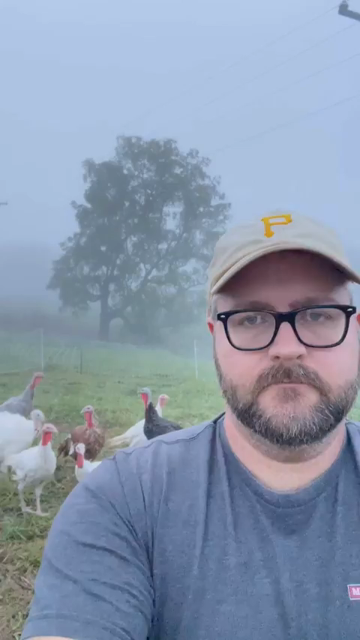 Dad talking dad jokes with a deadpan face on a misty morning while a bunch of turkeys goggle in response (like they're laugh) when he says the punchline.

I tried to catch the fog this morning... but I MYST it.

I don't really understand fog.
It's a MYSTERY.