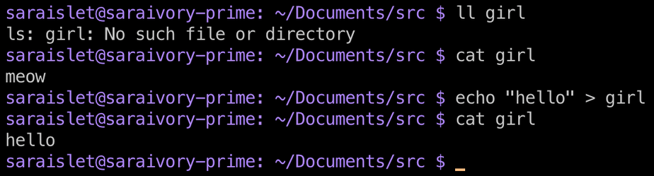 Screenshot of terminal response to "cat girl" with purple bash prompt:
saraislet@saraivory-prime: ~/Documents/src $ ll girl
ls: girl: No such file or directory
$ cat girl
meow
$ echo "hello" > girl
$ cat girl
hello