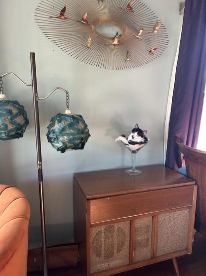 Photo of a black and white that decided to rest in a large, decorative martini glass sitting on top of an old stereo / furniture piece next to some other vintage 60s furniture. Somehow the kitty looks comfy, proving yet again that cats are liquid.