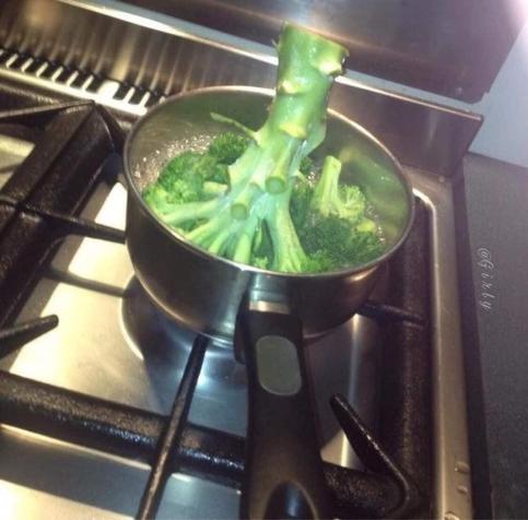 Sort of someone cooking some huge broccoli on the stove in a pan way to small for this stalk of edible tree. They just shoved the top part upside down in the pan while the stem sticks way out of the boiling water.