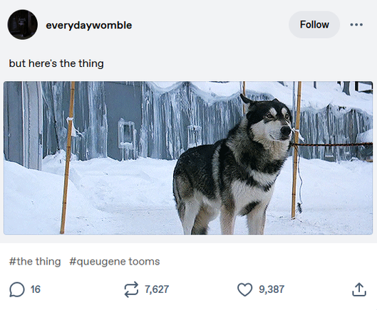  everydaywomble 
but here's the thing

