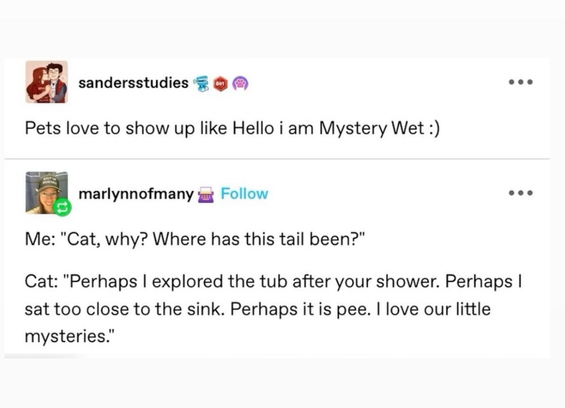 sandersstudies
Pets love to show up like Hello i am Mystery Wet :)
marlynnofmany
Me: "Cat, why? Where has this tail been?"
Cat: "Perhaps | explored the tub after your shower. Perhaps |
sat too close to the sink. Perhaps it is pee. | love our little
mysteries."