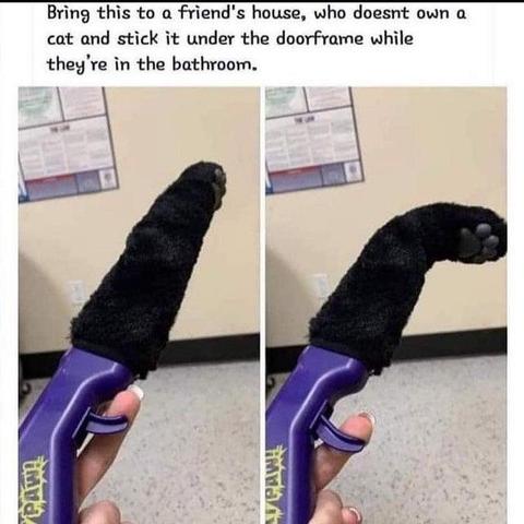 Photo of a black cat paw toy that curls the tip of the paw when you pull the trigger. Caption at top says:

Bring this to a friend's house, who doesn't own a cat, and sticking under the doorframe while they're in the bathroom.