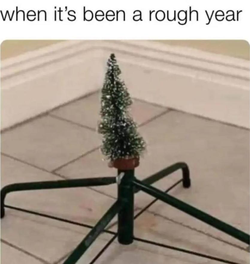 Photo of a comically small, fake christmas tree in a much larger tree stand. Caption says: 
when it's been a rough year