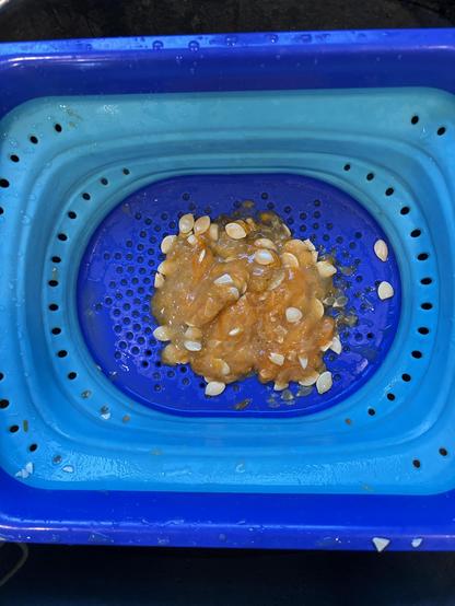 squishy pumpkin guts with seeds
