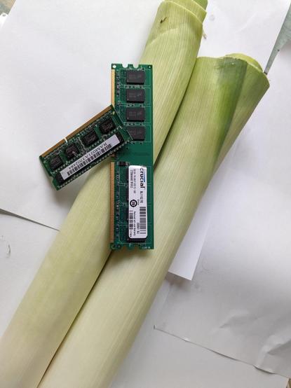 Photo by Simon Zerafa of some RAM resting on top of two leeks