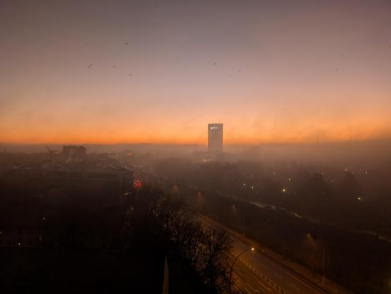 An elevated, wide-angle view of Hamburg at dawn, heavily shrouded in a thick, low-lying mist. The sky transitions from a deep, dusky purple at the top to a vibrant, glowing orange along the horizon where the sun is beginning to rise.

​In the center of the frame, the tall, rectangular silhouette of the Radisson Blu Hotel rises above the fog, its upper windows catching the light. To the left, several lower buildings and a construction crane are partially visible through the haze.

Below the hotel, the CCH (Congress Center Hamburg) is obscured by the dense mist, though streetlights along a multi-lane road in the foreground cast a warm, yellow glow through the fog. Several small birds are captured in flight against the clear upper sky, adding a sense of movement to the still, cold morning.