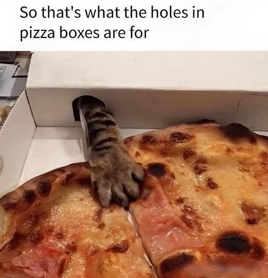 Photo of a cat paw sticking through a hole in a pizza box to grab a slice of ham pizza (called Canadian bacon sometimes).
Caption is:
So that's what the holes in the pizza box are for