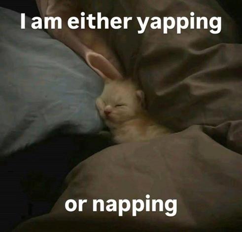 Caption: I'm either yapping or napping.

Photo shows a fluffy white & orange kitten sleeping soundly in some comfy blankets. I yearn to sleep as comfy as this little kitty.