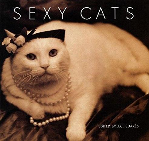 Cover image of a book titled Sexy Cats by J.C. Suares showing a white cat laying on some silk while wearing only a fancy hat and a pearl necklace.