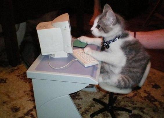 Famous photo of a kitten sitting at a kitty sized desk and chair while using a kitty sized computer with CRT and keyboard.