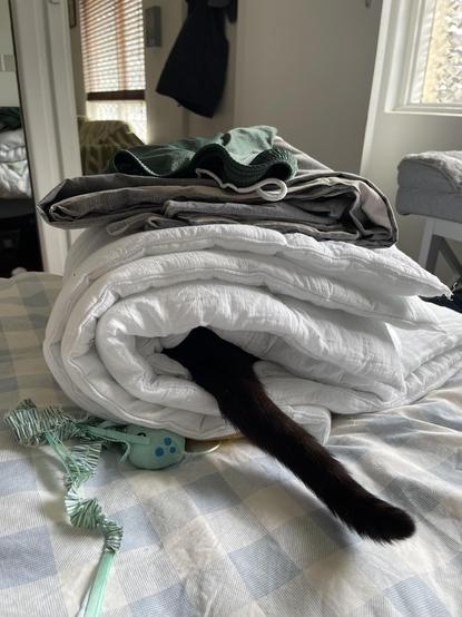 Photo of a neatly folded blanket with a black kitty's tail sticking out of the middle. Comfy kitty sandwich