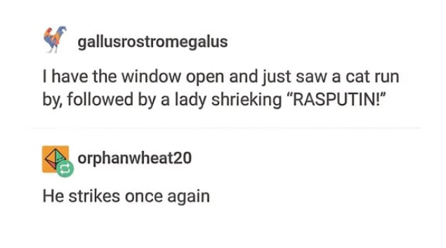 gallusrostromegalus

| have the window open and just saw a cat run
by, followed by a lady shrieking “RASPUTIN!"

orphanwheat20

He strikes once again
