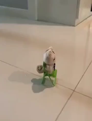Video of a cat walking on the floor by a small stuffed squirrel in a tiny chair. The kitty, having none of this, knocks the little plushie and chair over while walking by.