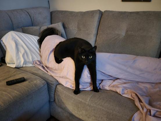 Photo of someone sound asleep in a couch while facing away from the camera. A black cat, looking at the viewer, is perched on their hip while their front paw dangle down covering the persons booty. It doesn't look like the most comfortable position for the kitty, but cats are liquid which means they probably are comfy.