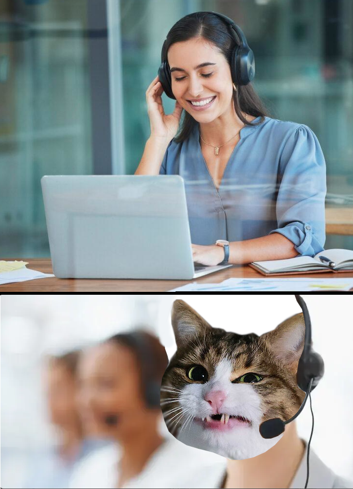 Top - "OMG thank you so much I'm totally able to shitpost now!"
Bottom - "Yeah whatever you're welcome"