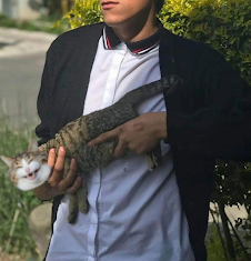 A man holding a cat cross-body like a carbine and the cat has a catte face.