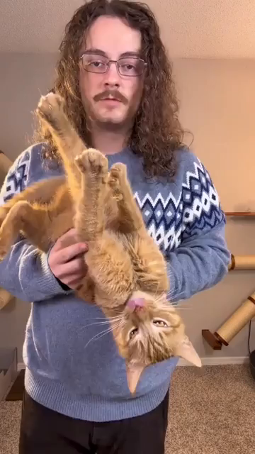 Video by RenusDelph talking about their orange cat, Nanaki, while holding the happy goofball upsidedown (with occasional tube treat).

❝
So I gave birth to my orange flavored son a few years ago, and when I tell you I could not prepare for just how orange he actually is. I knew oranges aren't like normal cats, but I had no idea what I was getting myself into.

He's got all the normal orange cat stuff like screaming at the top of his lungs.. just because. He'll knock toys into the wall and then …