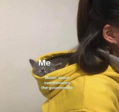 Photo of a grey kitten sound asleep in someone's yellow hoodie they are wearing. The kitty is labeled "Me", while the hoodie is labeled "Music about overthrowing the government".