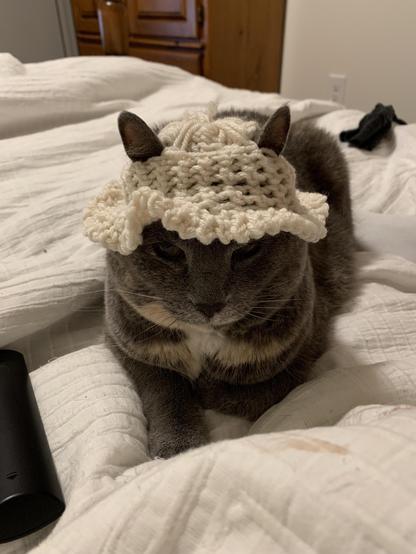 Photo of a cat loafing on a bed while wearing a white crocheted/knitted hat.