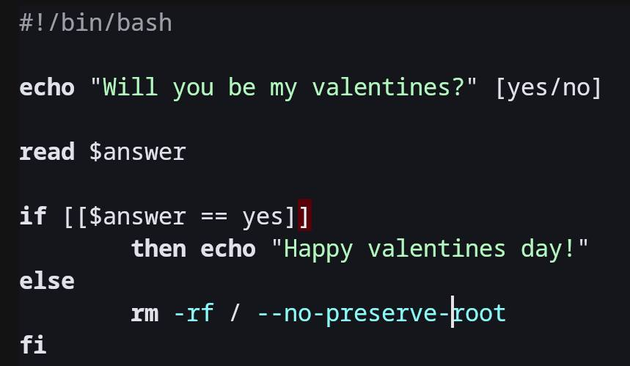 #!/bin/bash
echo "Will you be my valentines?" [yes/no]
read $answer
if [[$answer == yes]]

then echo "Happy valentines day!"
else

rm -xf / --no-preserve-jroot
fi

