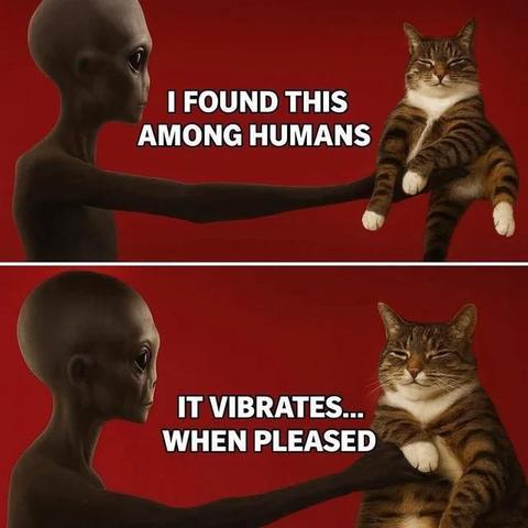 Two part meme showing an alien holding a happy kitty. 

"I found this among the humans."

"It vibrates... when pleased'