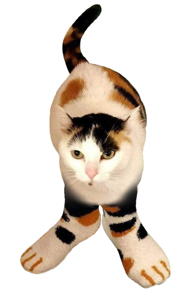 Photo of a calico cat wearing calico cat pattern human socks. Well really it's two photos melded together to give the illusion that the kitty has human feet, but to me it's a work of art!