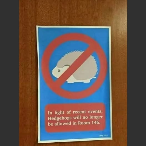 The image displays a humorous prohibition sign regarding hedgehogs. The sign itself is affixed to a wooden surface, likely a door, with visible grain patterns. The sign is predominantly blue with a white border. At the top of the sign, a graphic depicts a stylized, light gray hedgehog inside a large red circle with a diagonal red line crossing through it, indicating prohibition. The hedgehog has a rounded body, small dark eyes, and its spines are represented by subtle textured lines. The prohib…