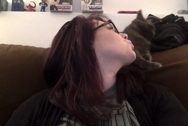 Video of someone with glasses, pale skin, and dark hair slightly nudging a cat behind them on the couch with their face. The kitty, who was rubbing on a jacket nearby, then starts rubbing its face and chin all over the person's face, nose, and glasses.