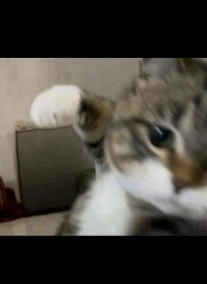 The image features a close-up, slightly blurry shot of a tabby cat. The cat's face is in sharp focus, with its right eye, a striking dark pupil surrounded by a lighter iris, prominently displayed and looking directly at the viewer. Its fur is a mix of brown, grey, and white tabby markings. The cat's left paw is raised and blurred, appearing to be in mid-motion, with a distinct white patch on the front.

The background is out of focus and appears to be an indoor setting. To the left, there's a g…