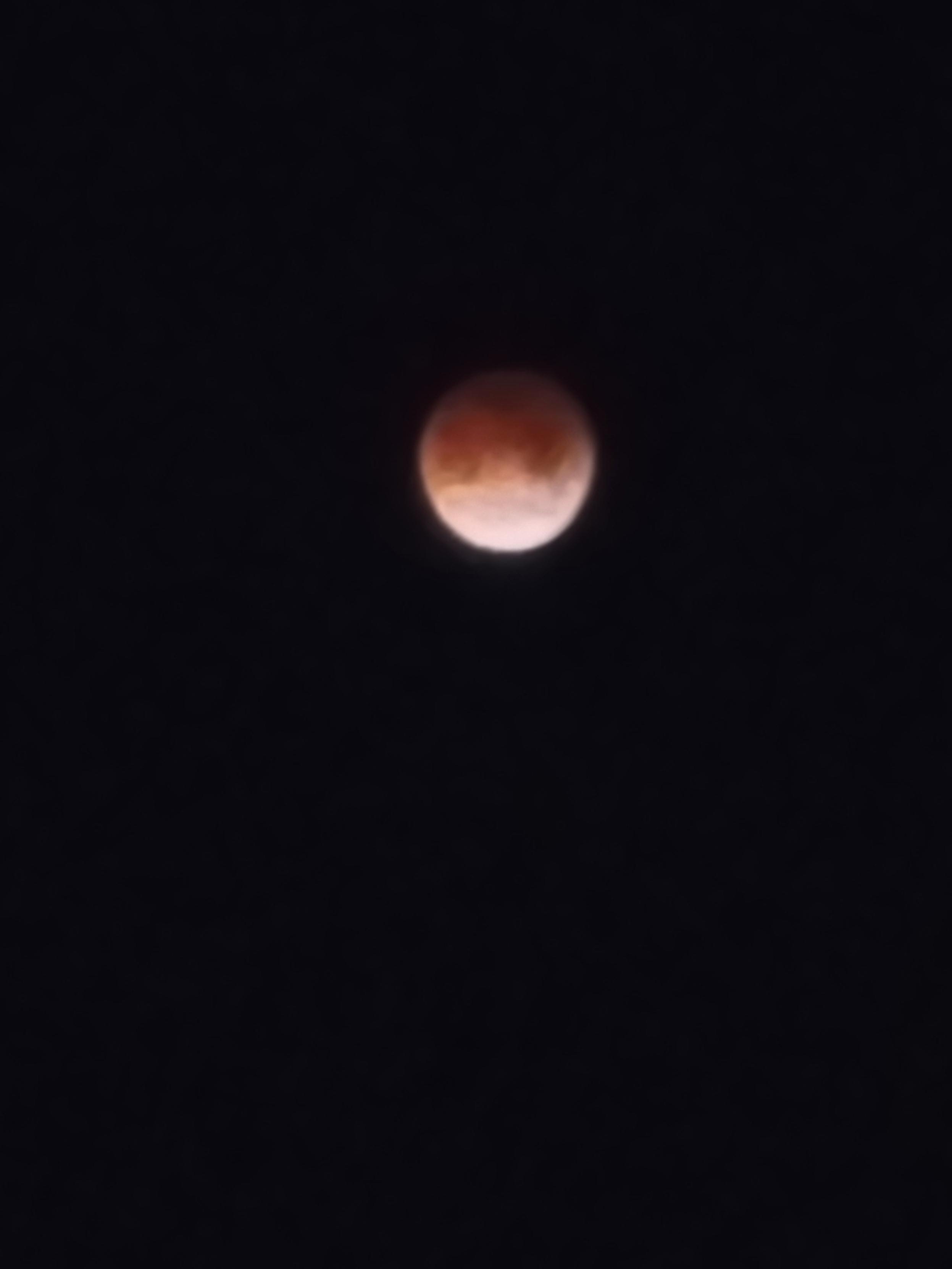 A terrible, blurry photo of the lunar eclipse at totality. It doesn't look total here - more like someone is shining the Wu-Tang Signal instead of the Bat Signal. Most of the big round full moon is pink, but the bottom edge still looks white here. It was total to the naked eye, and to the clock, however.