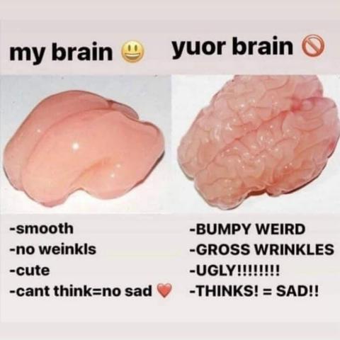 The image is a meme that humorously compares two different brains. The top of the image is split into two sections by text. The left section reads "my brain" with a smiling emoji next to it. The right section reads "yuor brain" (a misspelling of "your brain") with a prohibition sign emoji.

Below the text, the image displays two distinct brains side-by-side. The "my brain" side features a smooth, pinkish-white object that resembles a simplified, almost abstract representation of a brain, lackin…
