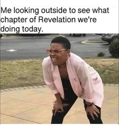 Me looking outside to see what
chapter of Revelation we're
doing today. 