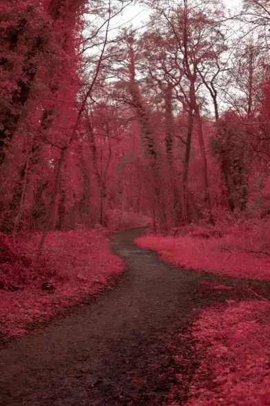 Posted media