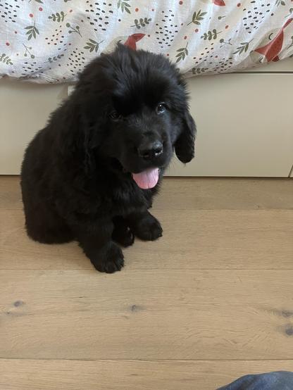 Posted media
