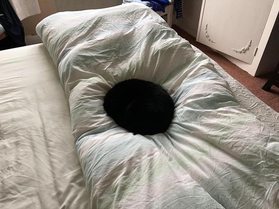 Photo of a black cat sleeping while curled up in a ball on a fluffy comforter folded on a bed. For max comfort, the void kitty absorbs all nearby light and heat while occasionally emitting Pawking Radiation in the form of purrs.
