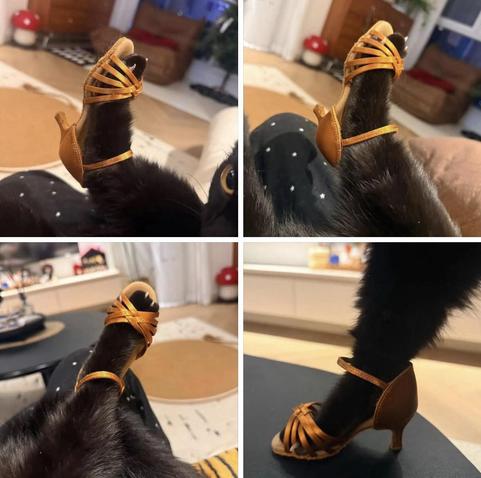Four photos in slightly different poses of a black cat's back paw wearing a doll-sized high heal shoe. The first picture has the kitty peaking back while being held by the human wearing black polka dot pants, and the last one shows the fashionable peet in a stiletto like the cat is standing in it.