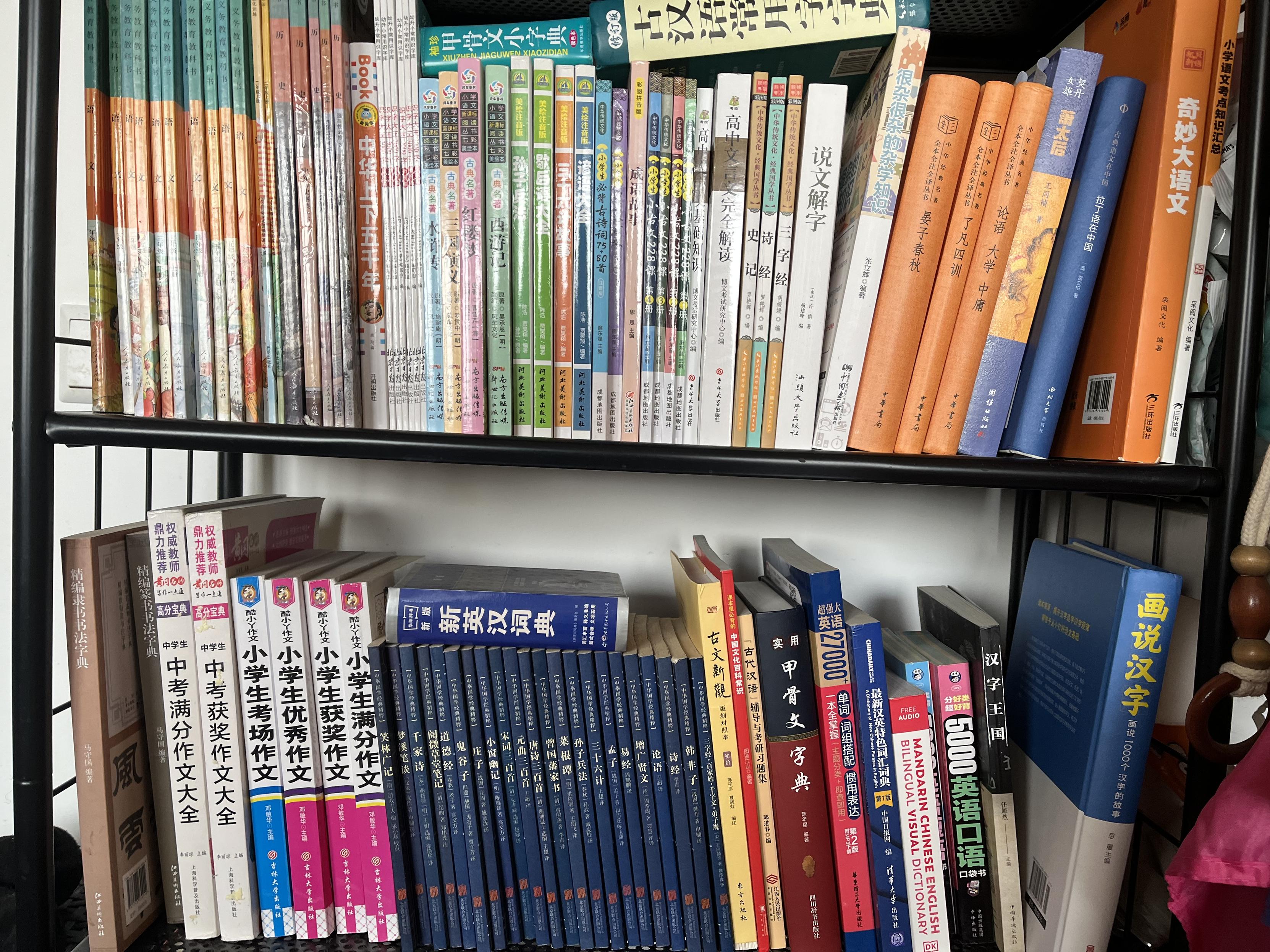 Two full shelves of books written in Chinese, concerned especially with Classical texts and the writing system itself. One of them is about… Latin.