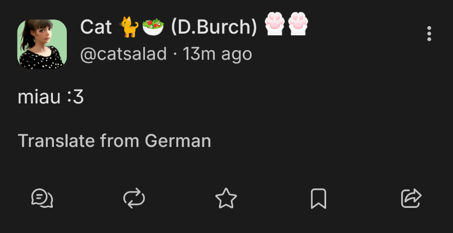 My instance wants to translate from "Cat"