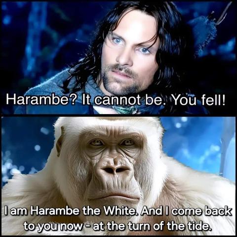 The image is a meme composed of two horizontally stacked panels. The top panel features a close-up shot of a man with long dark hair, looking off to the side with a concerned and disbelieving expression. He has striking blue eyes and a rugged appearance. The background is dark and slightly out of focus, with hints of blue lighting and what appear to be trees or foliage. White text overlaid on this panel reads "Harambe? It cannot be. You fell!".

The bottom panel is dominated by a close-up of a …