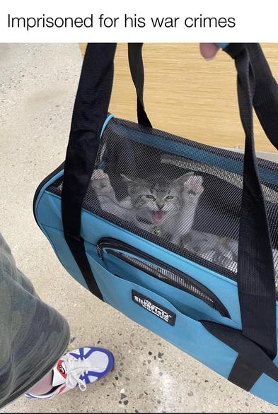 imprisoned for his war crimes
