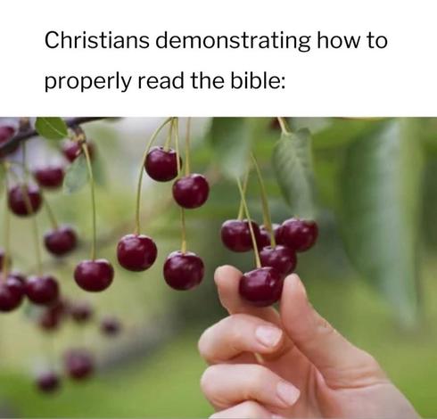 Christians demonstrating how to
properly read the bible:
