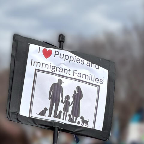 “I heart puppies and immigrant families”