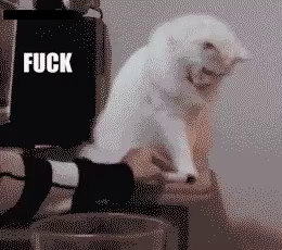 Low res and grainy animation of a fluffy white cat knocking stuff placed in front of them off a table.
Fuck This
Fuck That
Fuck Those Too
Fuck All These
Fuck This Thing In Particular