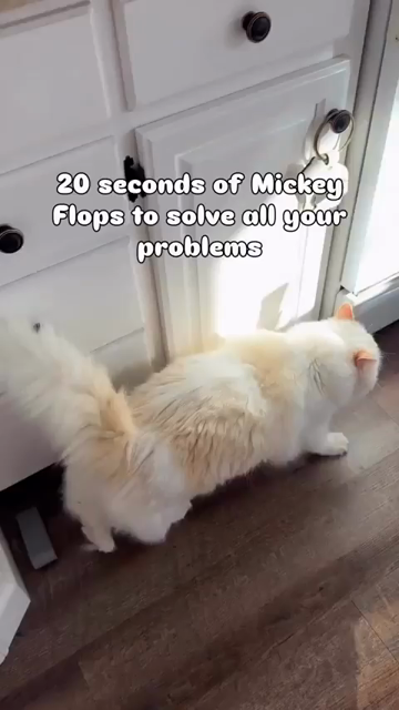 20 secs of Mickey flops to solve all your problems

Compilation video by snugzmeow of their very fluffy white & tan cat falling over on its his side repeatedly to get attention.